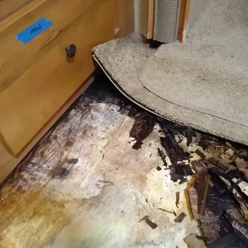 Wood Floor Water Damage in Stephenville, TX